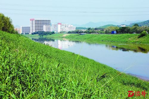 茅洲河