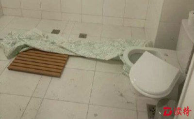 巴西奥组委:奥运村房间漏水可能是IS干的！