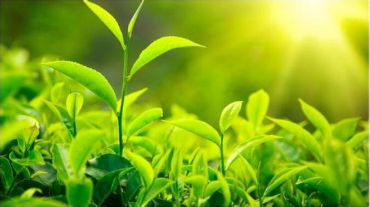 沪“好人法”通过 紧急救护损害市民不担责