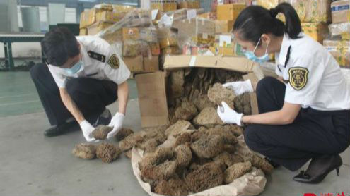 “闯关”失败！“海洋海绵”首次入境就被销毁