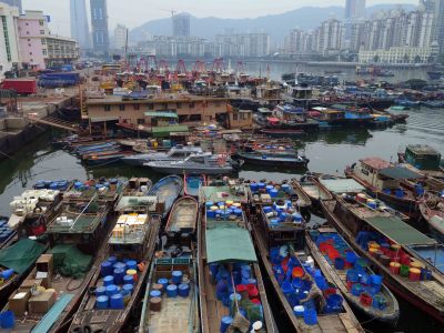 深圳3个客运码头客轮停航 28艘拖轮应急待命 