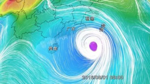 胡春华来到莞深防风一线：要把人员安全放首位