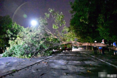 受台风“妮妲”影响居民全部复电