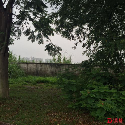 沙井人民有福了！家门口要建足球主题公园