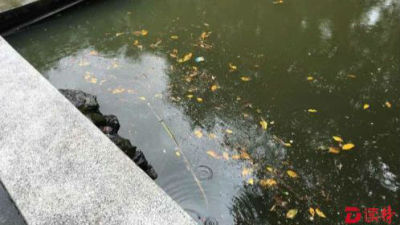 荔枝公园水体又脏又臭！记者调查：元凶竟是它
