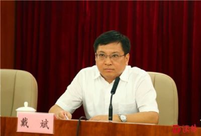 戴斌获提名为深圳龙岗区区长候选人
