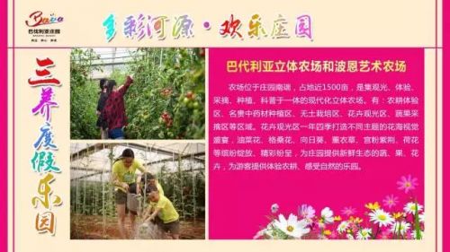 巴伐利亚立体农场和波恩艺术农场。