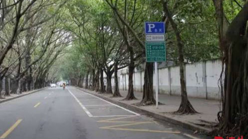 路边停车后付费时代来了！深圳司机可任性