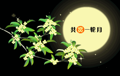 t01c165bdbe45514447