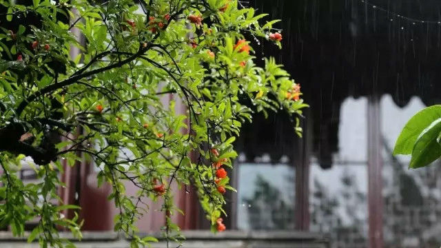 处暑：夏衣临晓薄，秋影入檐长