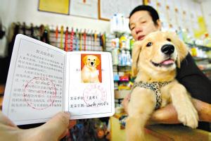 有爱犬的亲注意了！南山犬类狂犬病强制免疫免费注射！