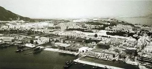 1983年的蛇口村