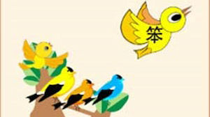 就算是“笨鸟”，也有属于自己的天空