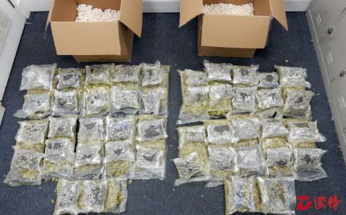 香港海关截获11千克大麻花 拘两男两女