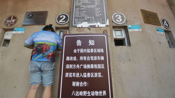 八达岭动物园新规：猛兽区自驾锁门禁离车！