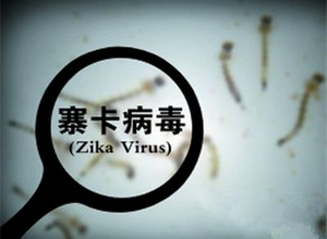 香港首例感染寨卡病毒患者转阴出院