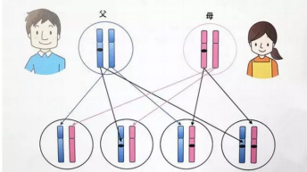 这群“不食人间烟火”的孩子 ，有个机会可以帮到他们