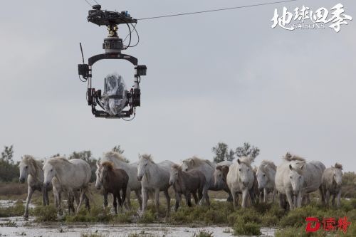 高空俯拍危险重重