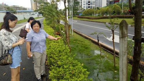 会呼吸的海绵城是啥样？光明凤凰城告诉你