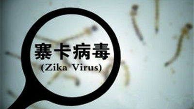 河南发现一例中国籍旅客感染寨卡病毒