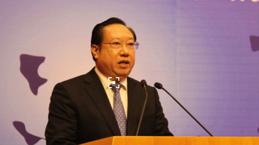 湖北省委副书记王晓东任湖北代省长