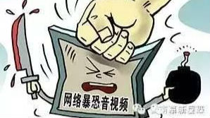 网上传播暴恐视频 一男子被法院判管制1年半