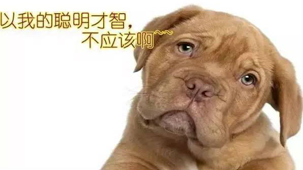 【新闻视频】2016.9.17 理发套路有点深 怎么破？