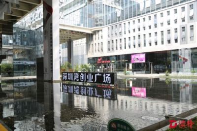 深圳湾创业广场四家餐厅被查出虾肉来源不明等问题