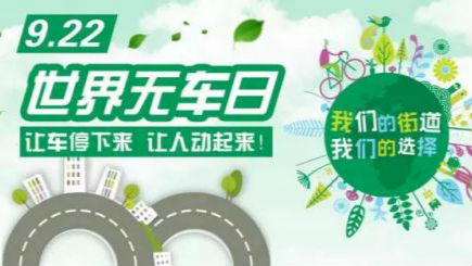 @深圳司机：来定个小目标，无车日绿色出行