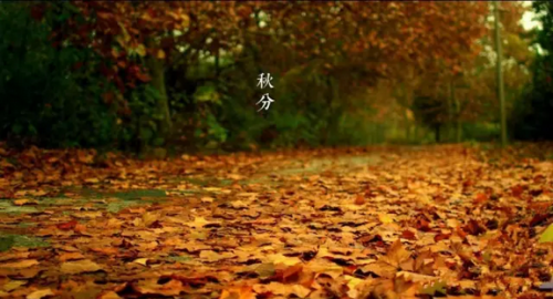 filehelper_1474529888026_27