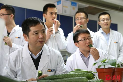 每次实验种出的黄瓜，黄三文和助手们都要品尝。