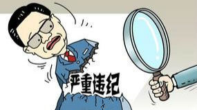湛江市委常委、市政府党组成员吴建林被调查