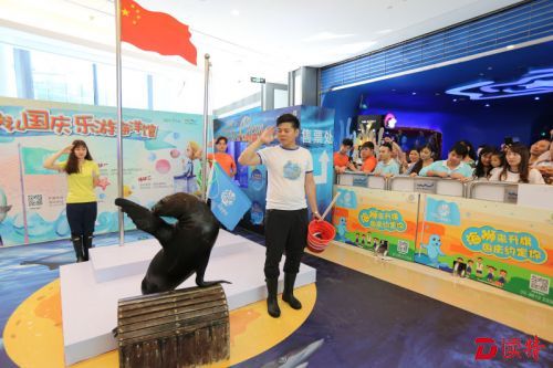 海狮升旗水母起舞 孩子们乐翻天