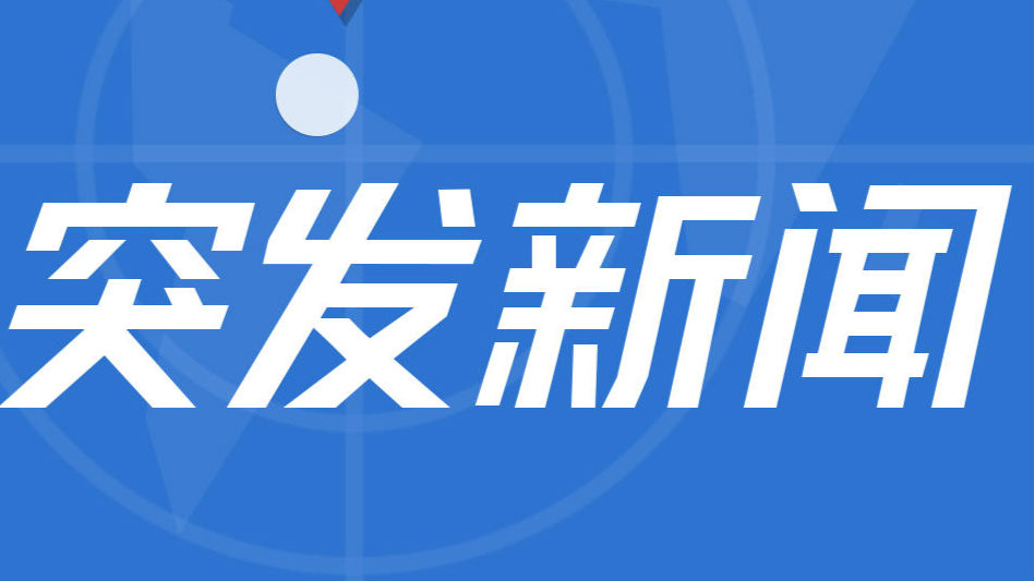 突发！深圳一小汽车撞上绿化工致2死10伤