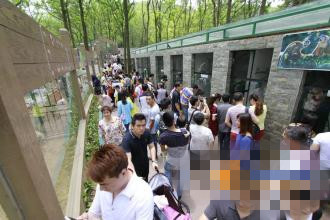 东莞凤岗景区一天涌入2万多游客 深圳客居多