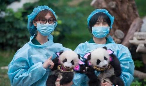 QQ截图20161005180757