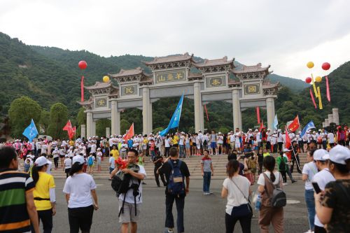 杨3