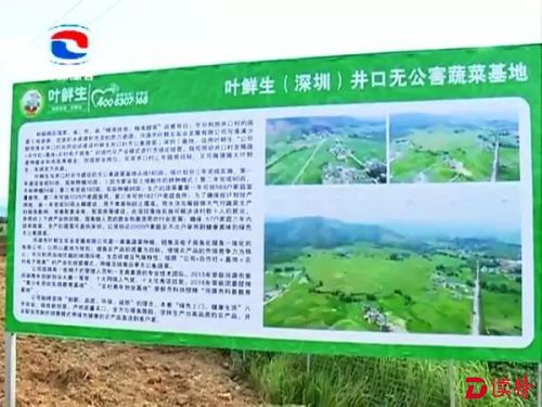 1012叶鲜生基地1