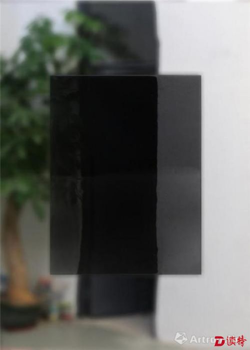《视网膜·三十二》50cmX70cm 镜面不锈钢、环氧树脂 2016