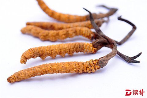 10种常见中药材鉴别，你会吗？