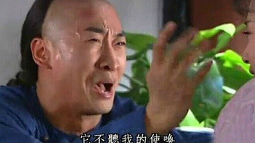 败家娘们网购爱囤货？这锅，女人不背