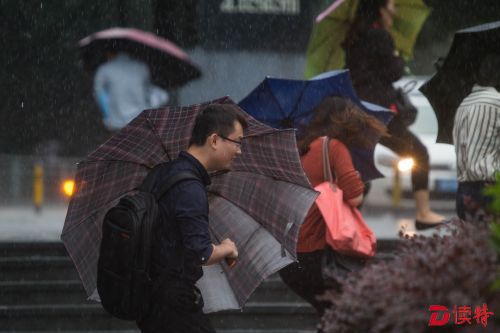 <p><p>在南山区世界之窗地铁站附近，行人的雨伞在风中很难撑起。</p></p>