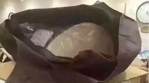 竟然是真的！浙江游客在日本酒店顺走马桶盖