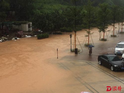 鹭湖国际住区逢雨必涝添堵  居民苦盼“三通”