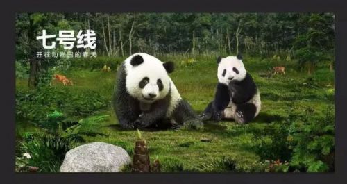 快抢票！你造吗，深圳动物园七大惊艳等你来