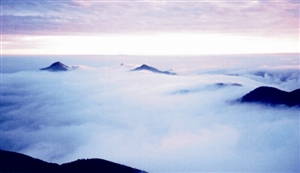 res01_attpic_brief