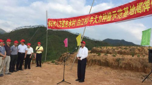 吉水村：依托扶贫争创全国生态示范村