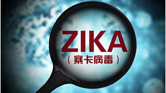 中国科学家在寨卡病毒药物靶点研究中获新突破
