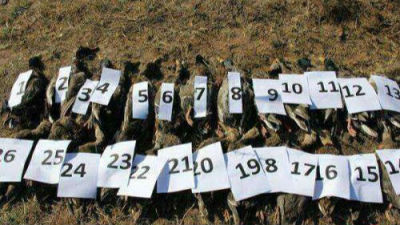 内蒙古警方通缉捕杀天鹅犯罪嫌疑人 悬赏10万