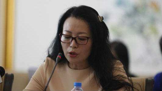 王岚：改变单纯用限行限购模式调控的机制